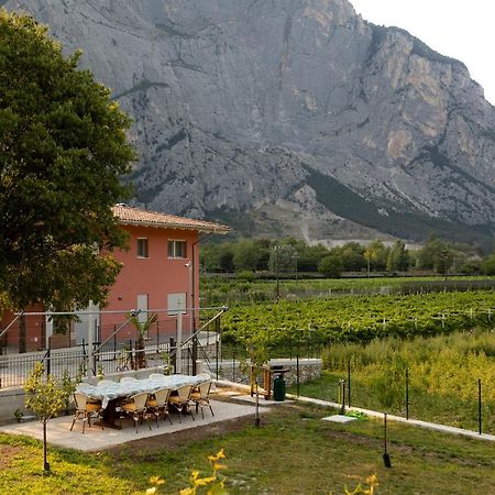 Holiday Apartments Giulia - Green Pietramurata Esterno foto